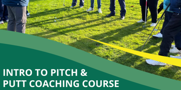 poster advertising pitch and putt coaching course, image of people standing with pitch and putt clubs on a green.